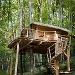 Treehouse 트렌시안스케테플리스