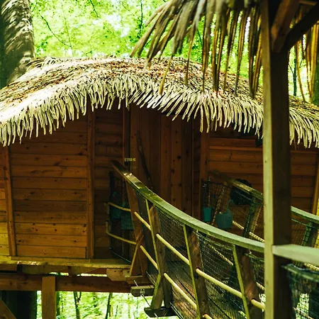 Treehouse *