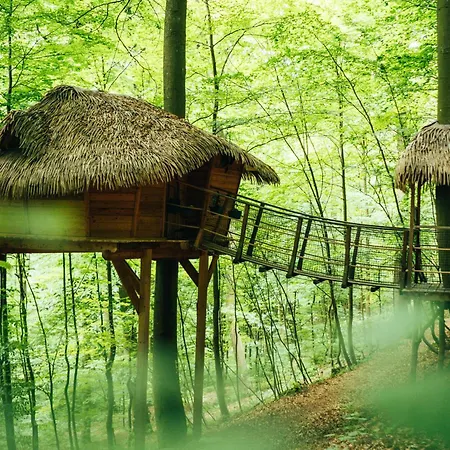 Treehouse Trencianske Teplice