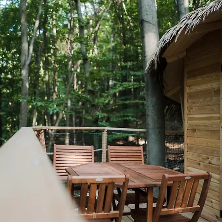 Treehouse ラグジュアリーテント *