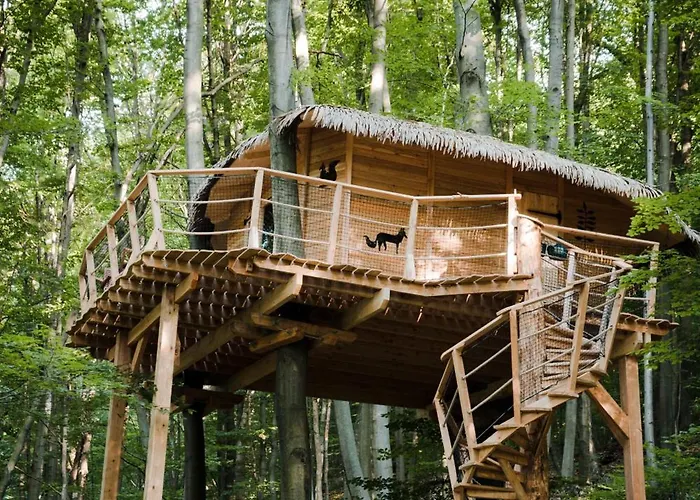 Treehouse Trenčianske Teplice