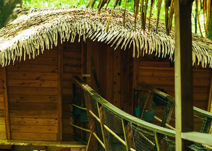 Treehouse *