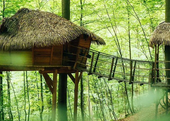 Treehouse Trenčianske Teplice